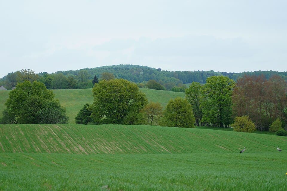 Strażno