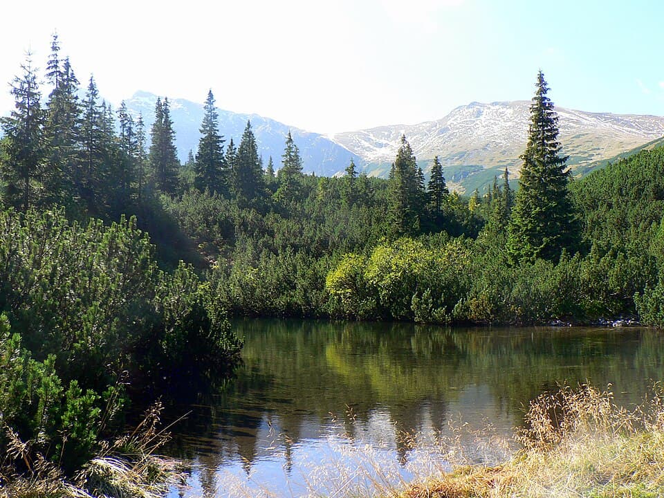 Mokra Jama