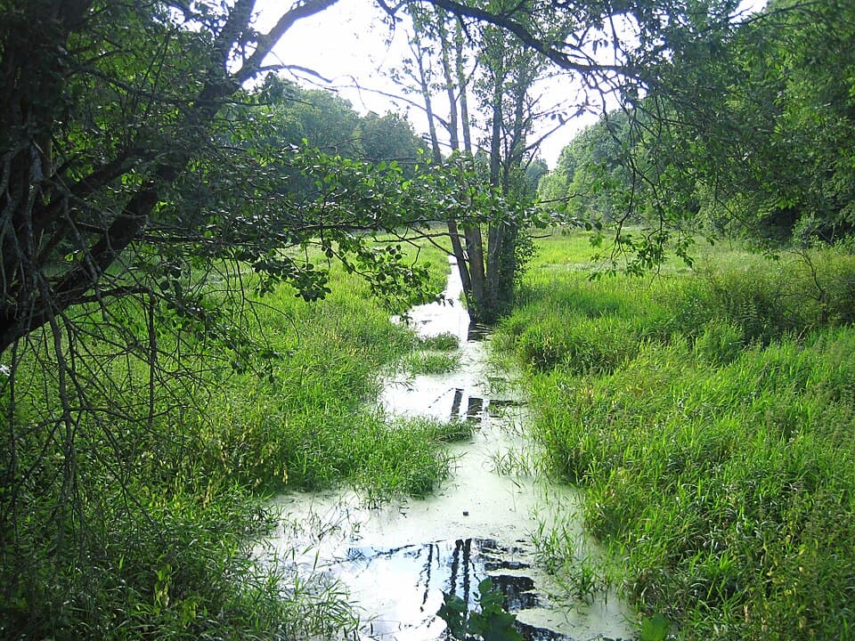 Rębowa