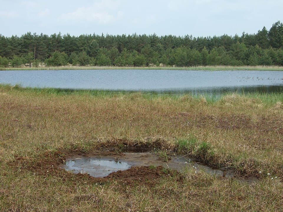 Piaszynko