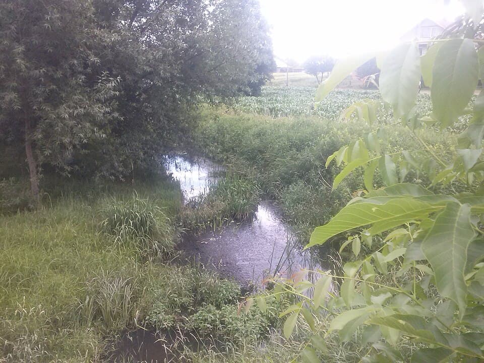 Przykopa (struga)