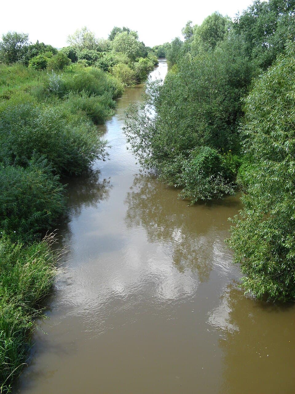 Zdjęcie Wisznia
