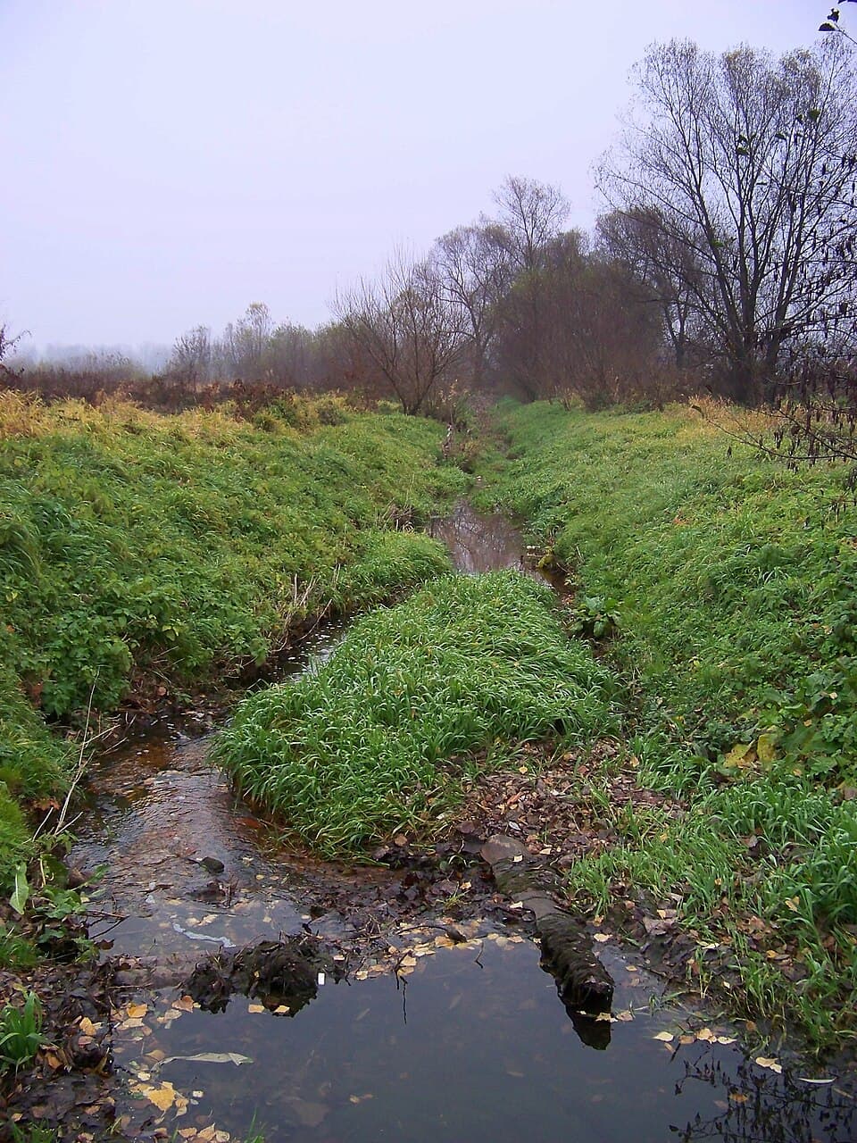 Zdjęcie Strumień Halinowski