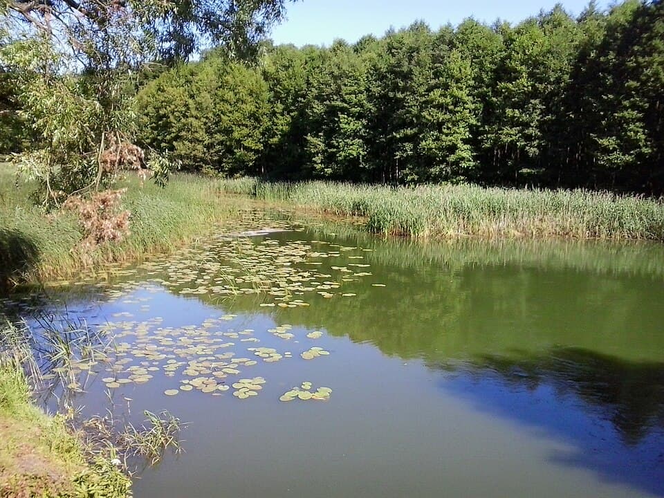 Mała Wełna