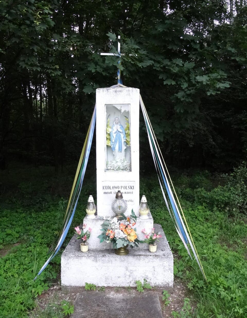 Zdjęcie Struga Rudy