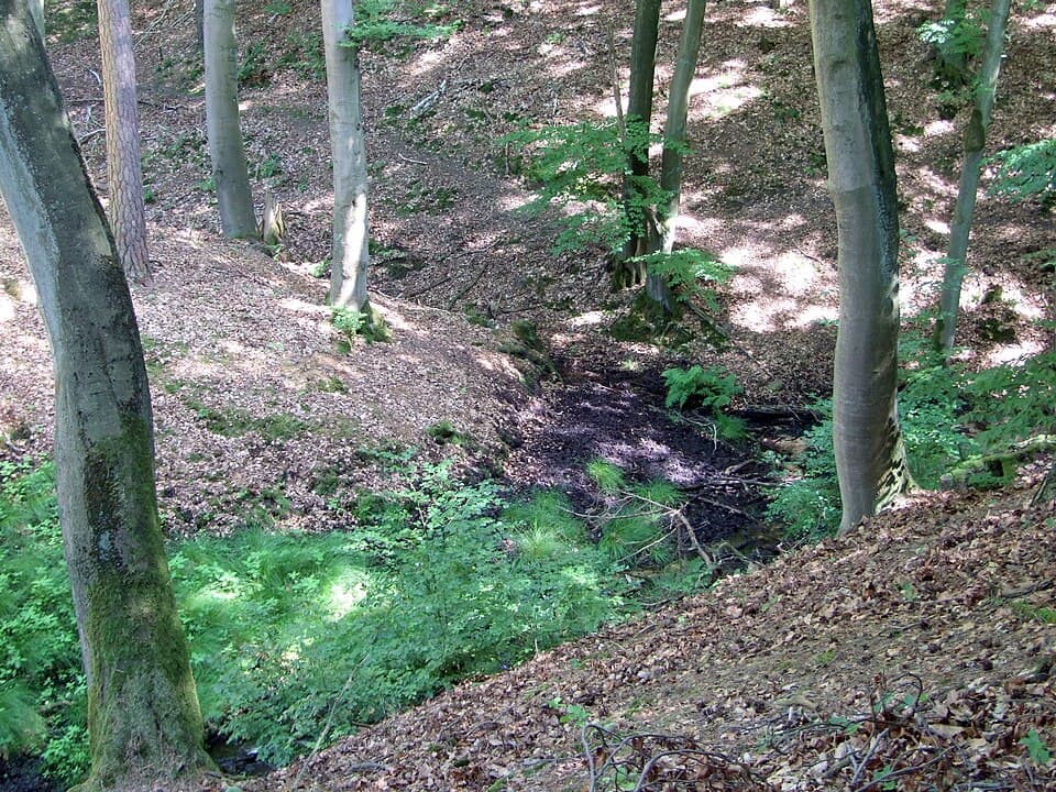 Krzewina (strumień)