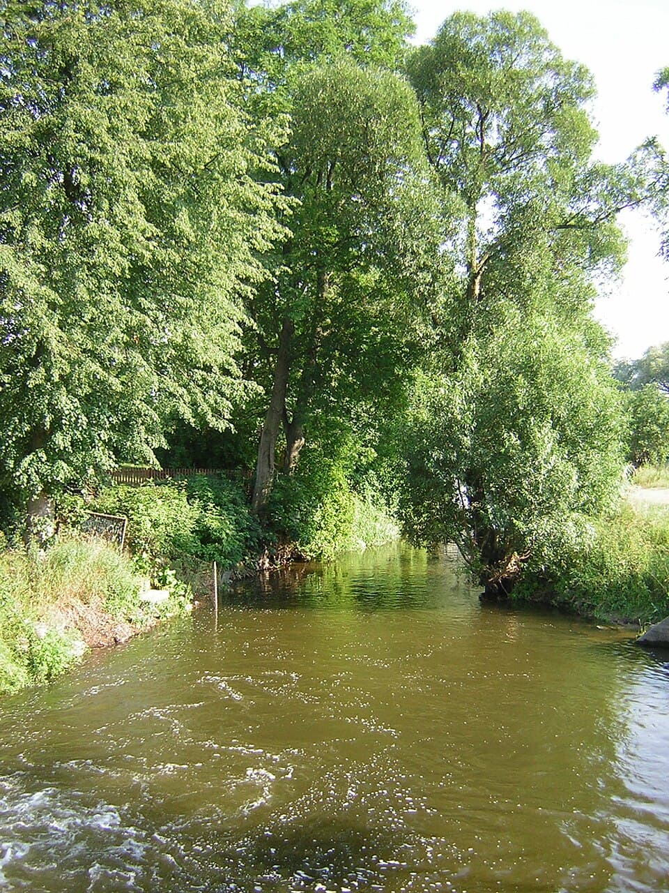Iławka
