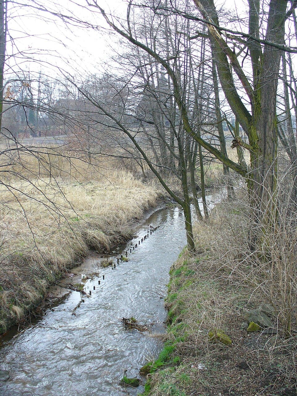 Bierawka