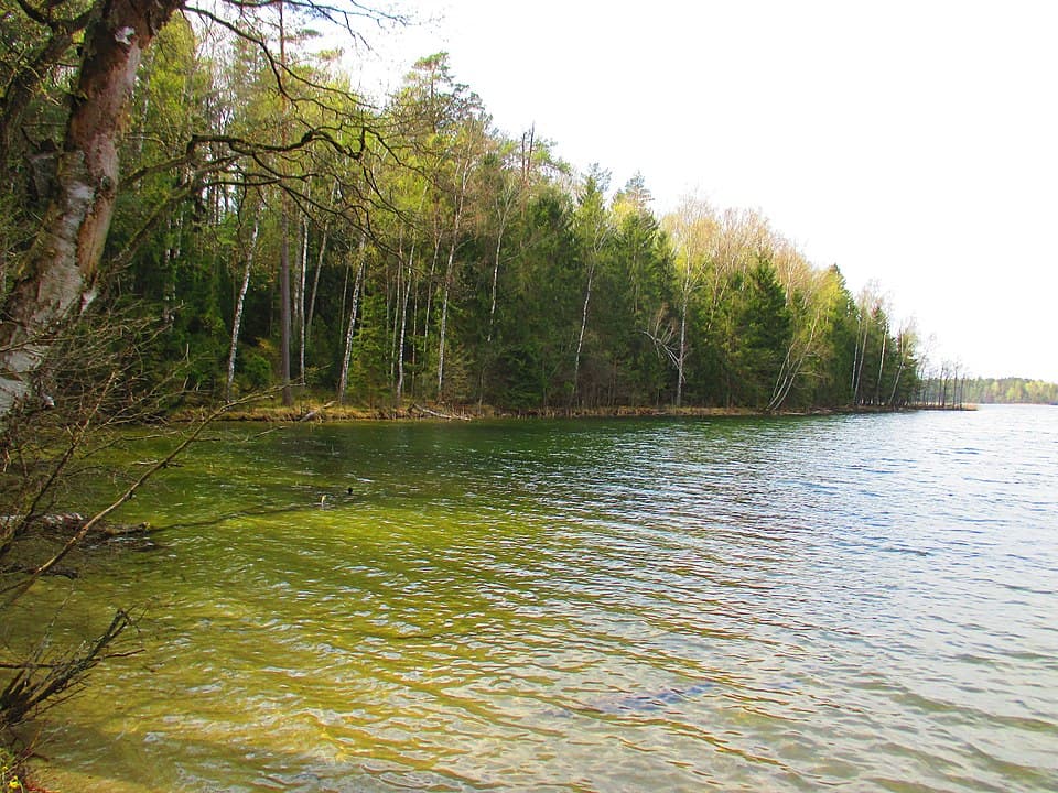 Długie Augustowskie