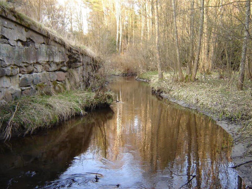 Leszczynka (dopływ Liśnicy)