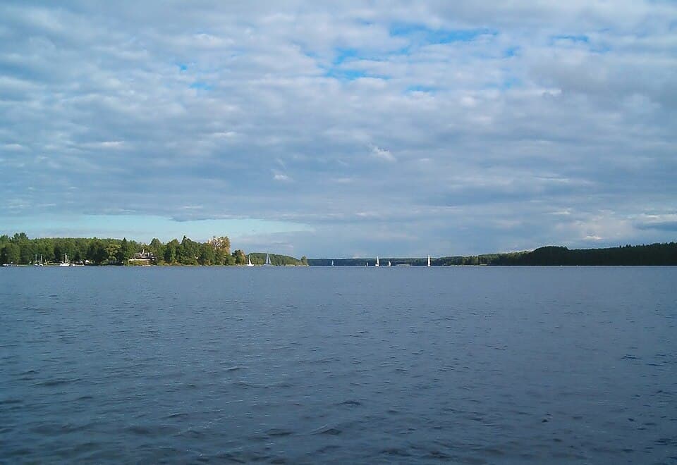 Gołuń