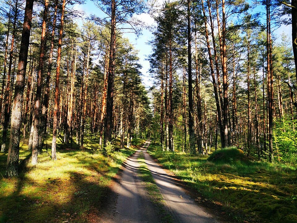 Przywłoczno