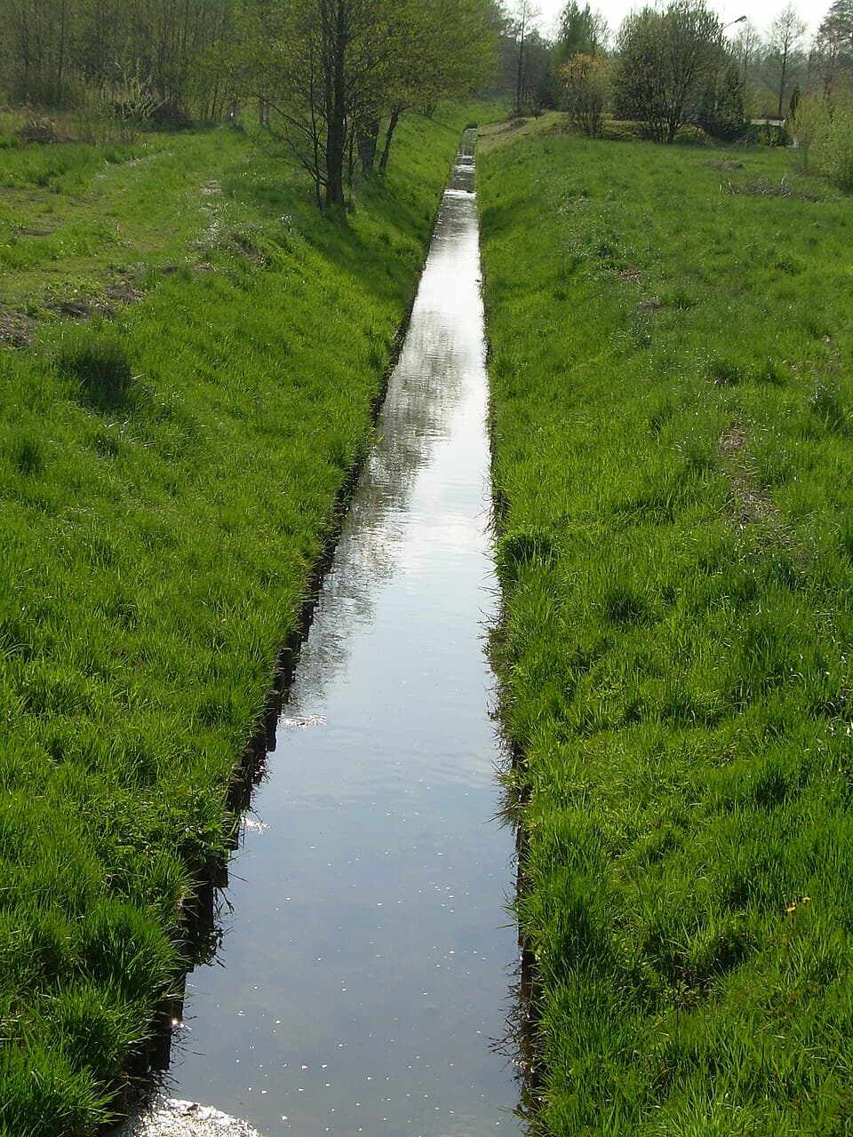 Mszanka (dopływ Szotkówki)