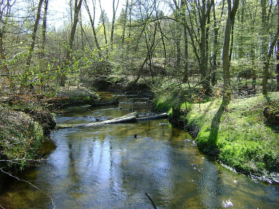 Mogilica (rzeka)