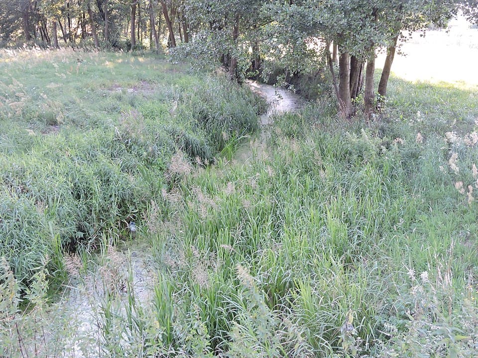 Jaźwiniec