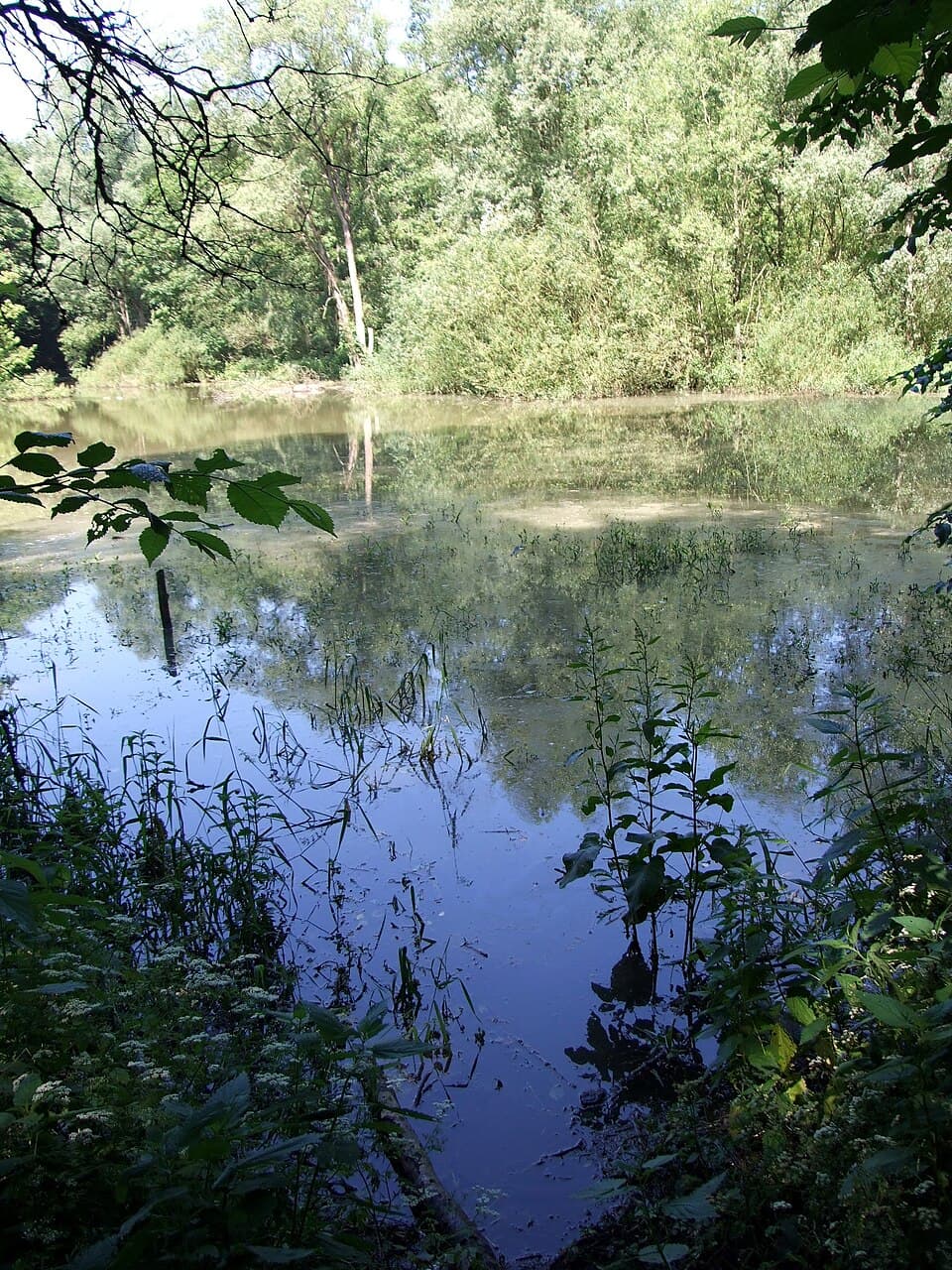 Jezioro Głuszec