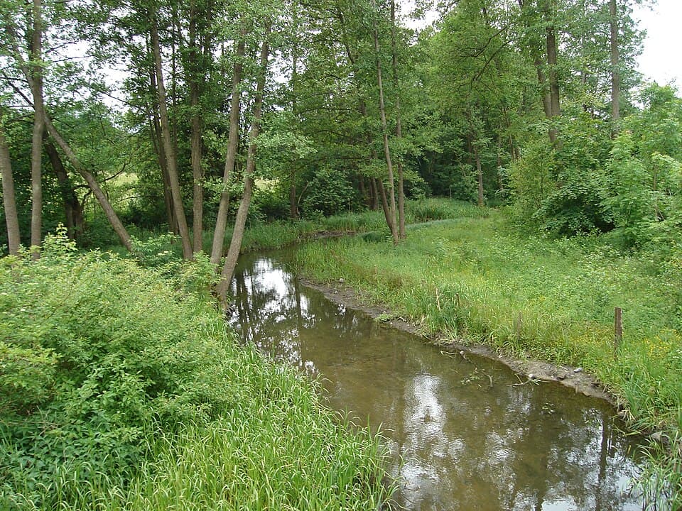 Nidka