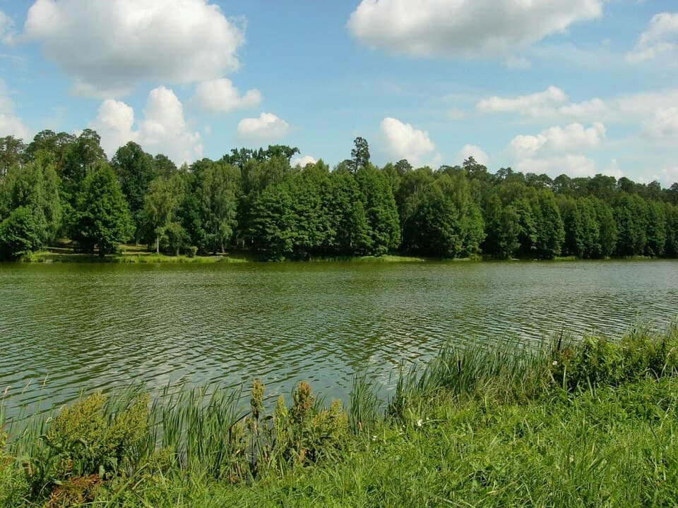 Gzówka