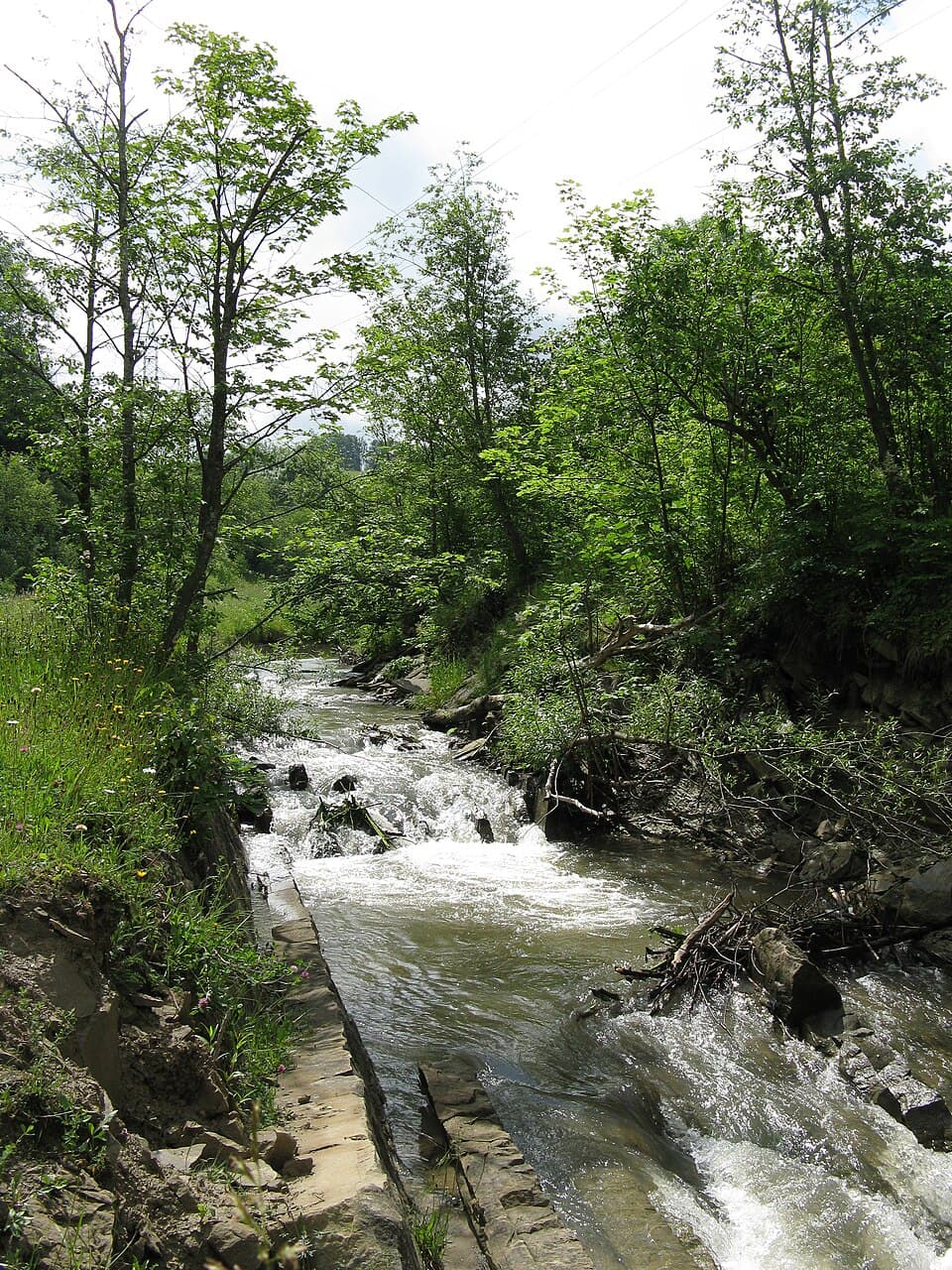 Głuchy (dopływ Czarnej)