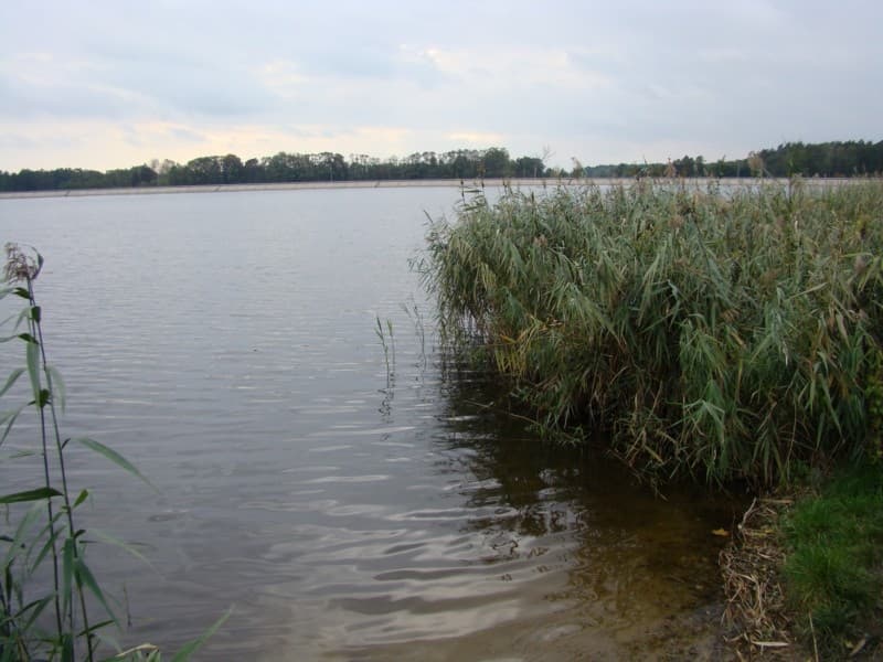 Zdjęcie Murowaniec