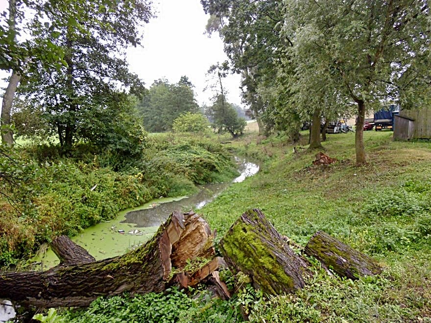 Psarka - odcinek krainy pstrąga i lipienia