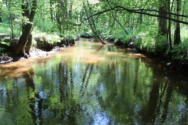 Jezioro Czerna Wielka